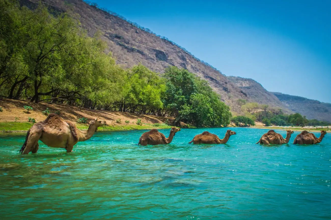Oman-Shutterstock3