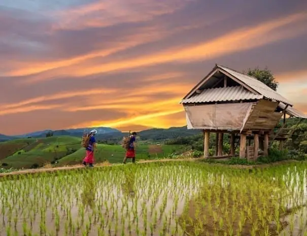 Rondreizen-bali-1