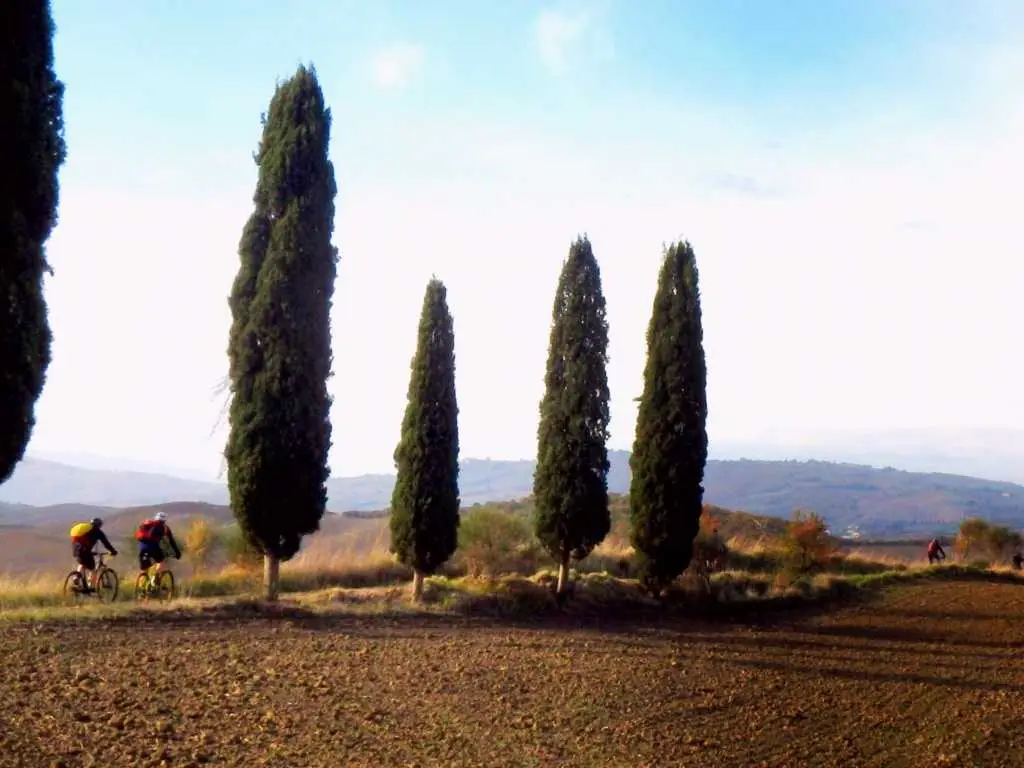 Tuscany-Italy1