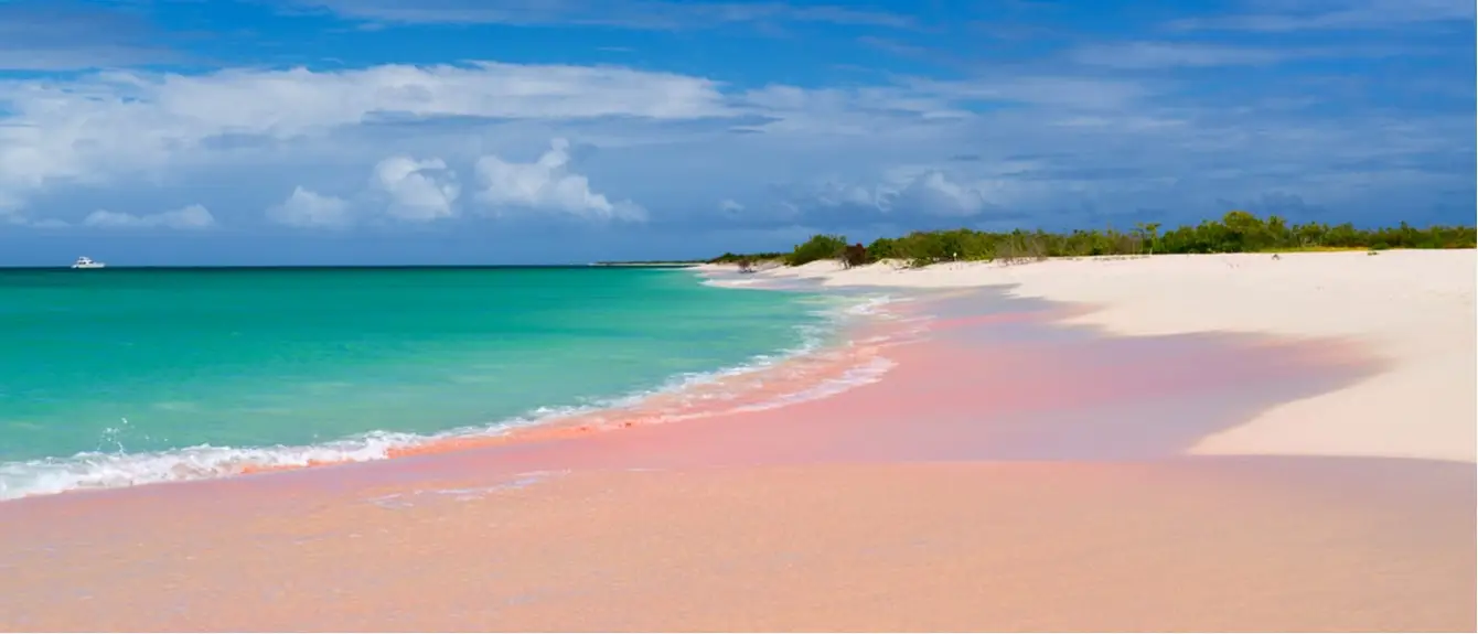 Roze strand op Barbuda in het Caribisch gebied