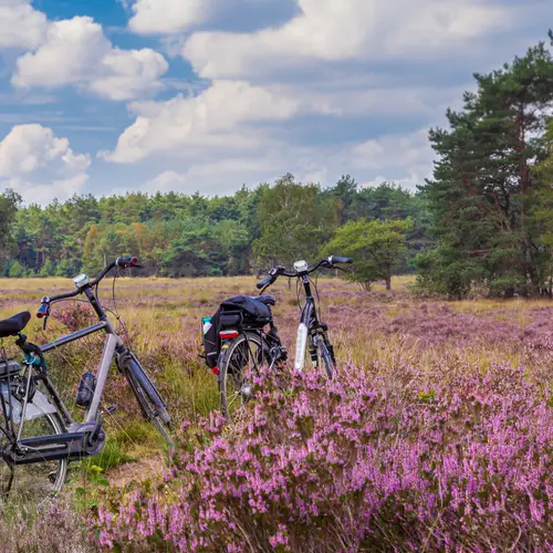 Weekendje weg Veluwe