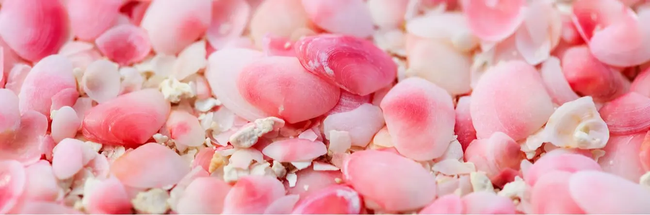 Roze strand met helder blauw water