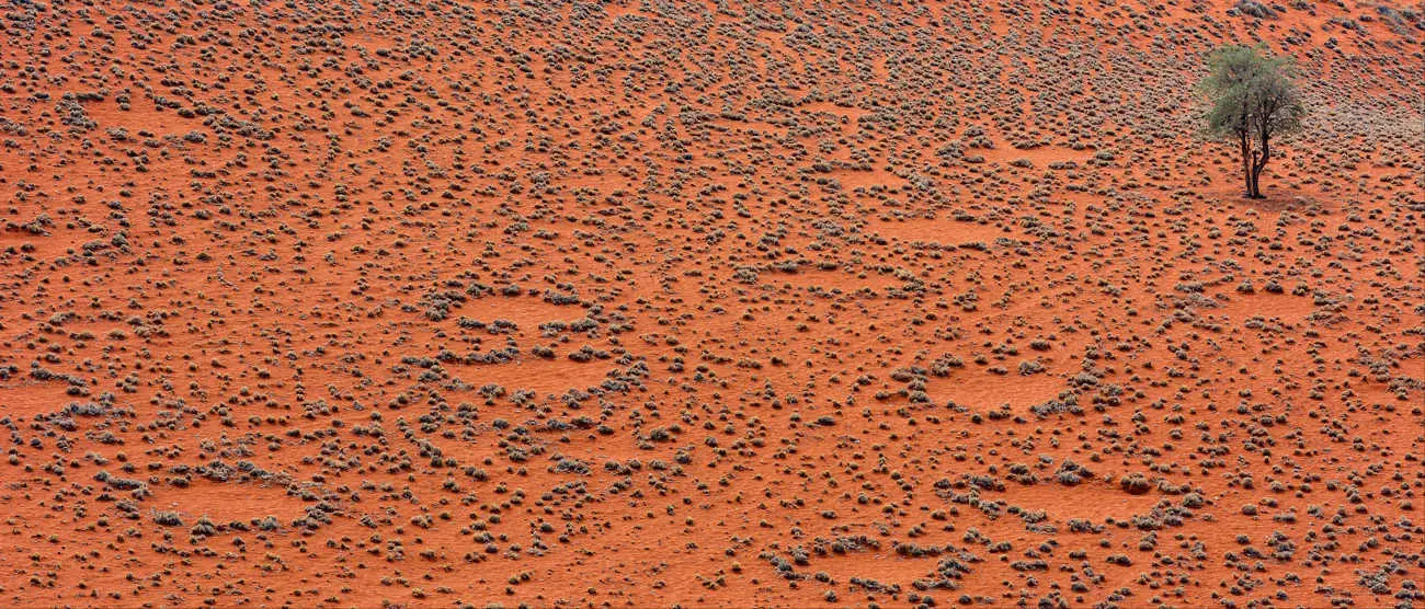 feeencirkel namibie