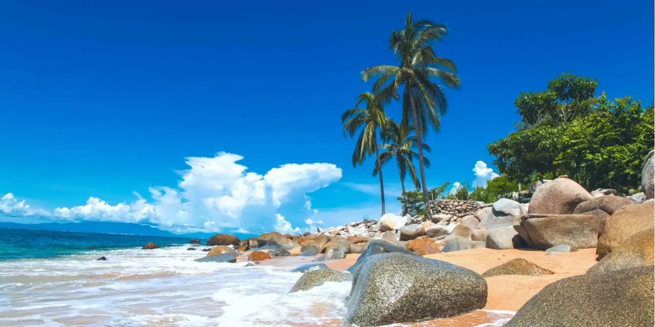 Header_Mexico_nuevovallarta