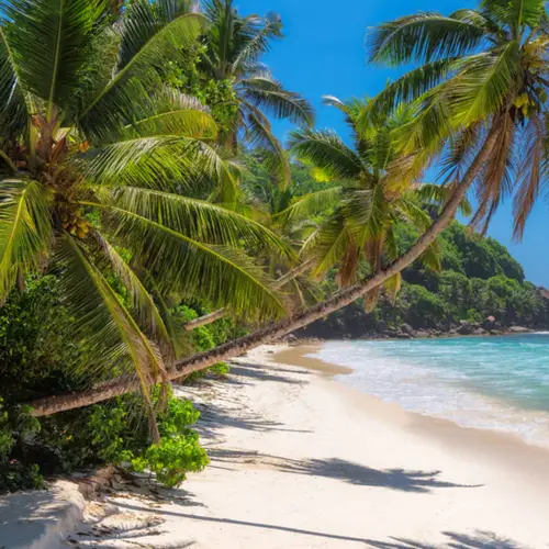 Jamaica-header-1