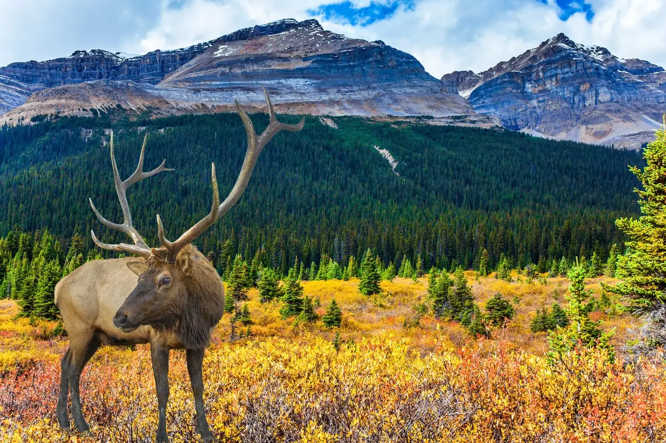 Canada-Shutterstock4