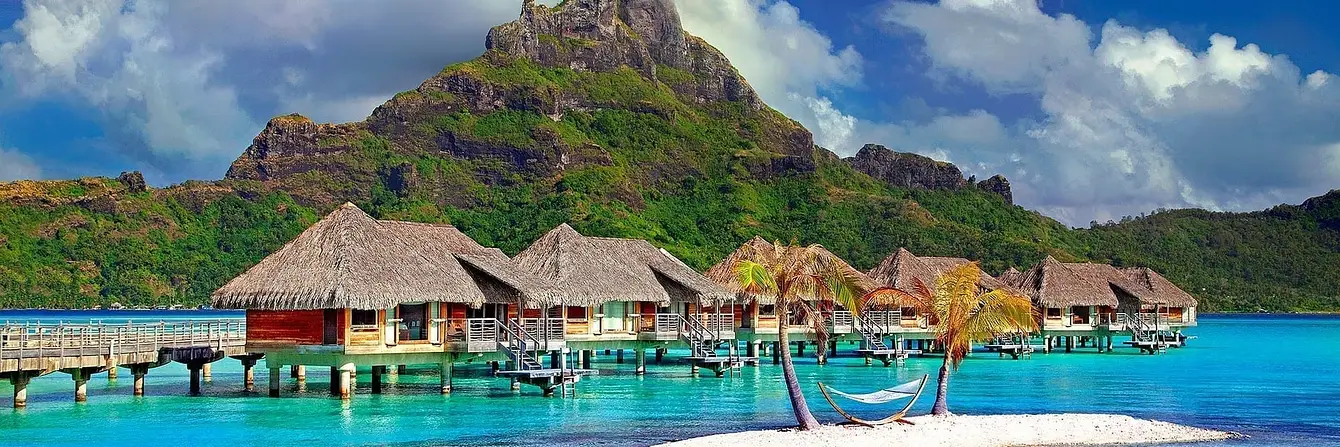 TC-Header-Image
