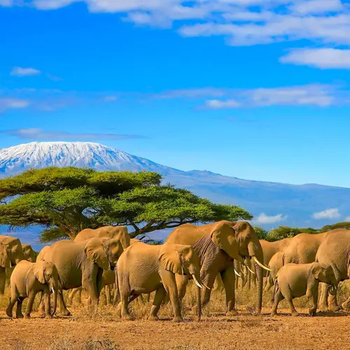 Vakantie Tanzania