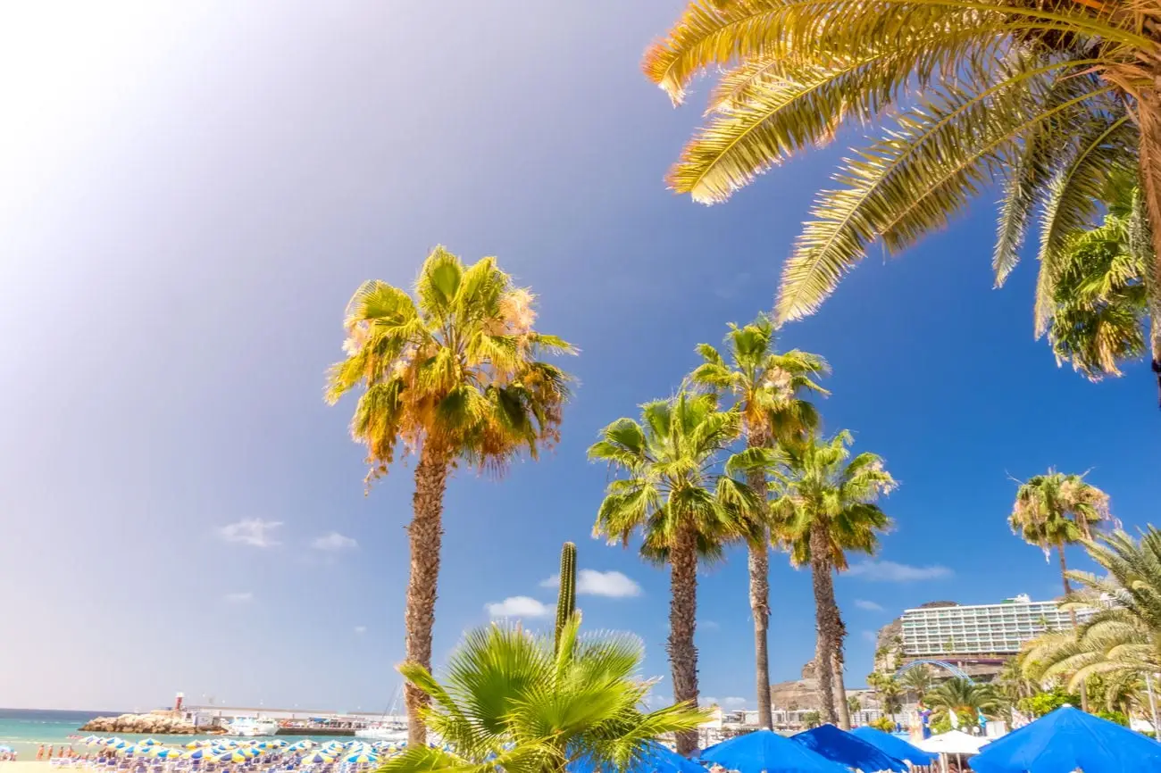 Shutterstock_532573207