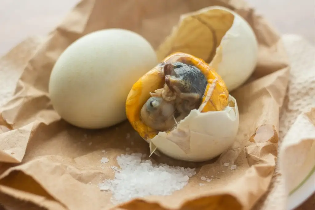 Balut - eendenkuiken in ei