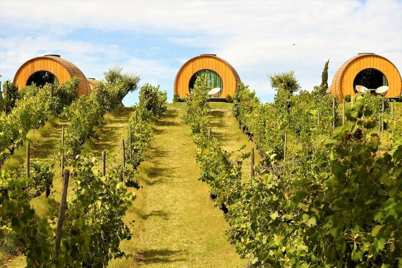 Wijnvat hotel Quinta da Pacheca