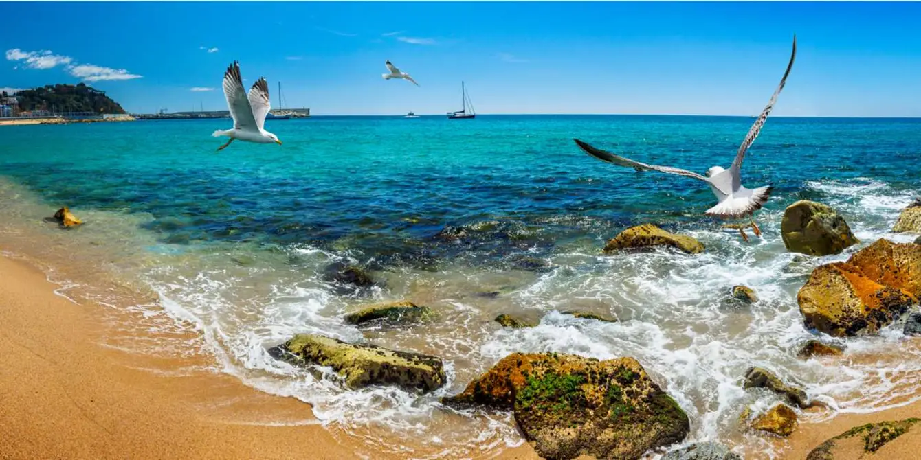 Header-Shutterstock-Blanes