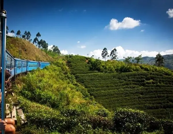 Sri-lanka-trein