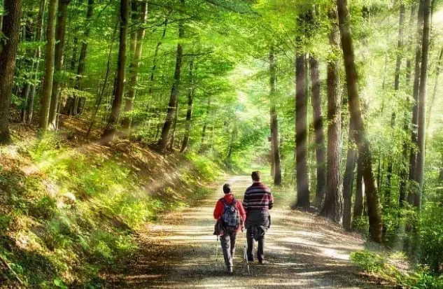 Wandelen-gelderland