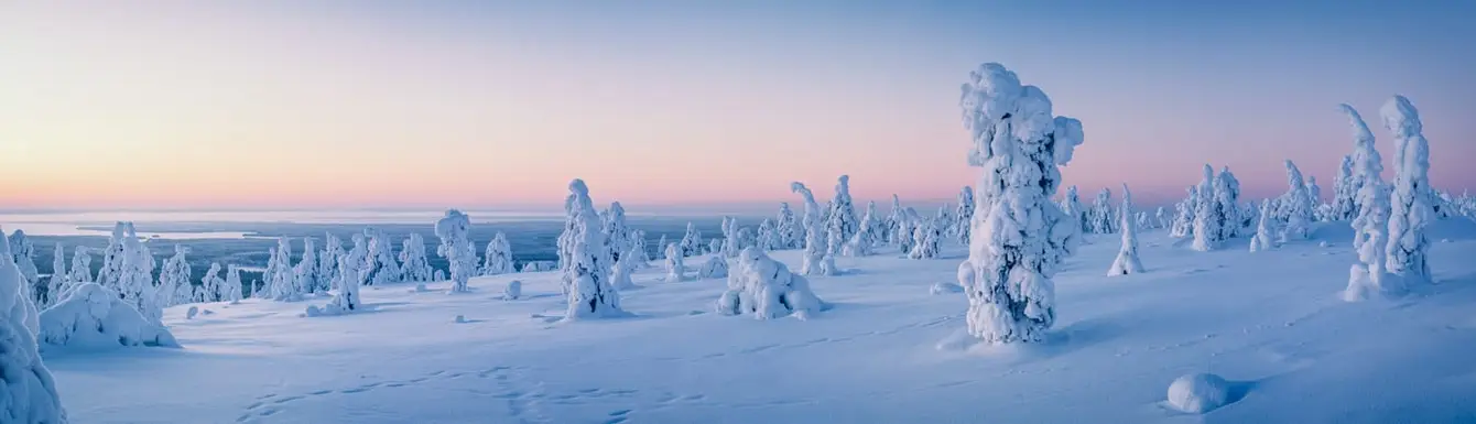 Sentinels of the Arctic