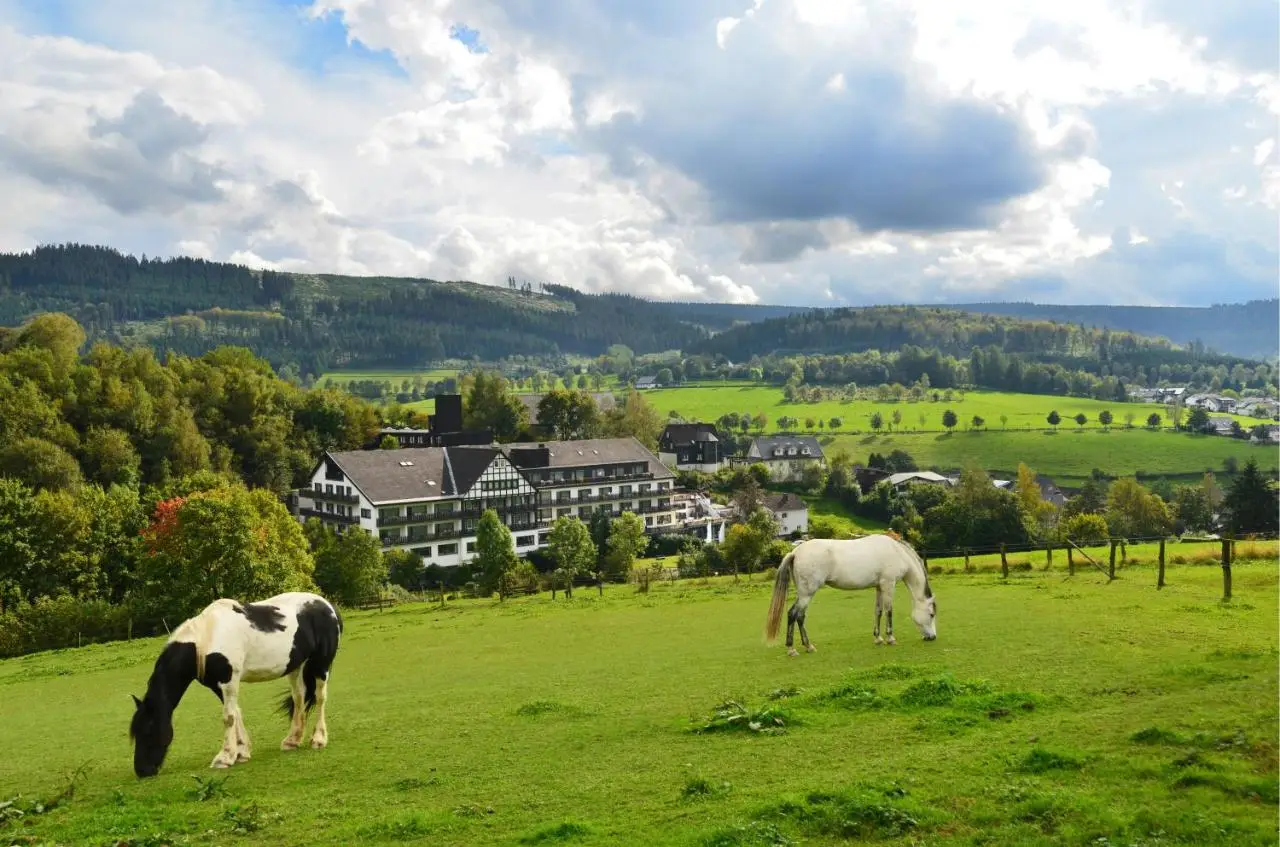Sauerland-Alpin-Hote2