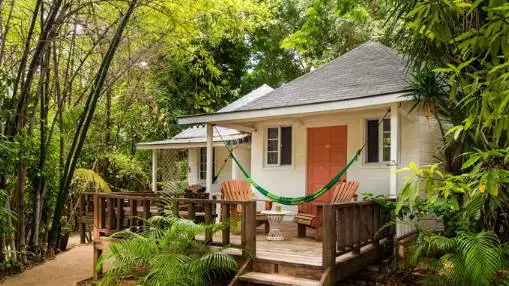 Jamaica-cottage-jungle