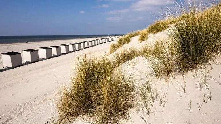 Zeeland-1