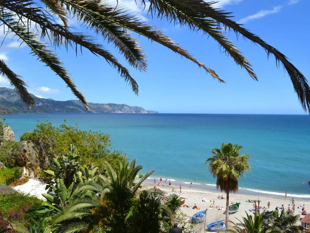 Torrox-1
