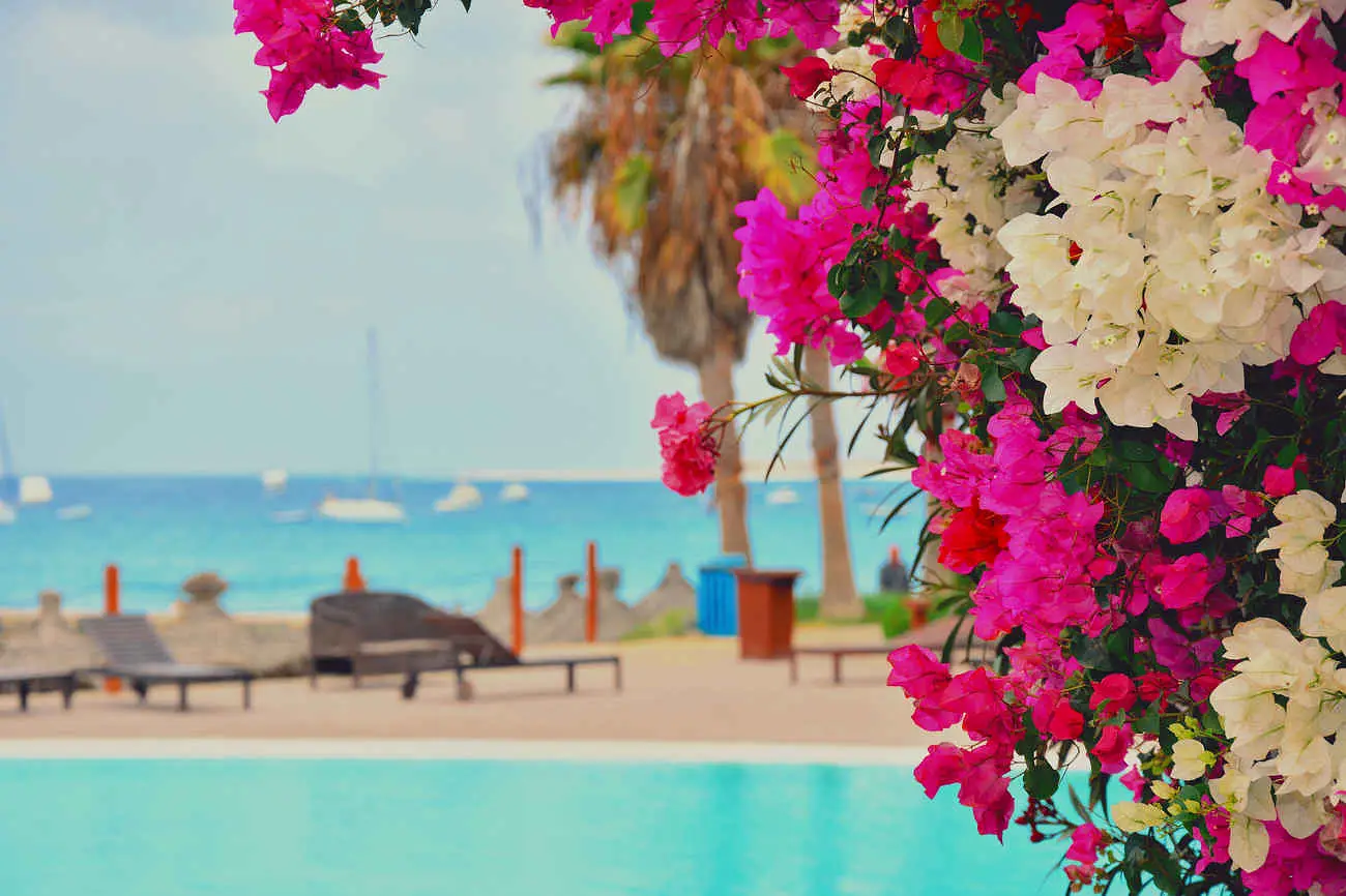 Kaapverdie_santamaria_shutterstock1