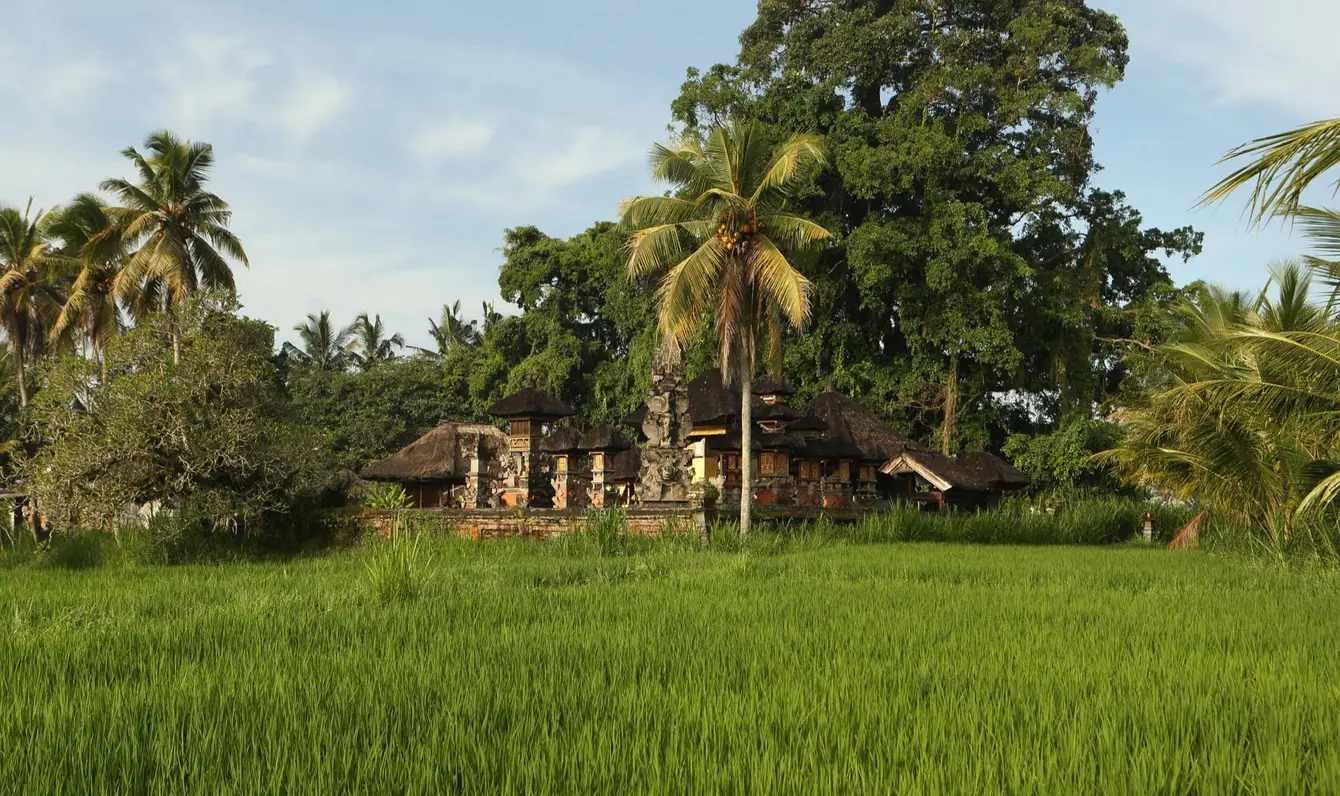 Alila-Ubud-Bali4