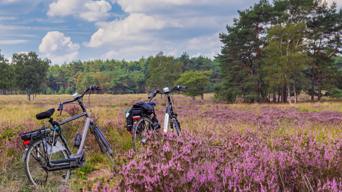 Weekendje weg Veluwe