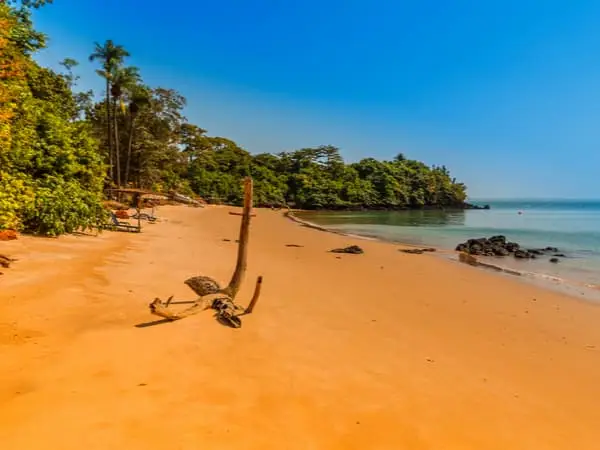 Gambia-Gambia-Nieuwsbrief