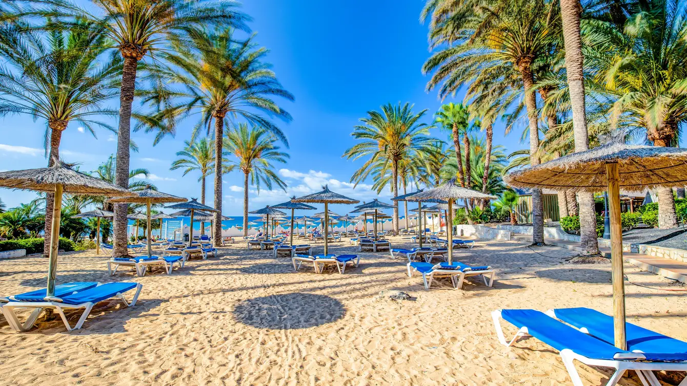 SBH Costa Calma Beach Resort