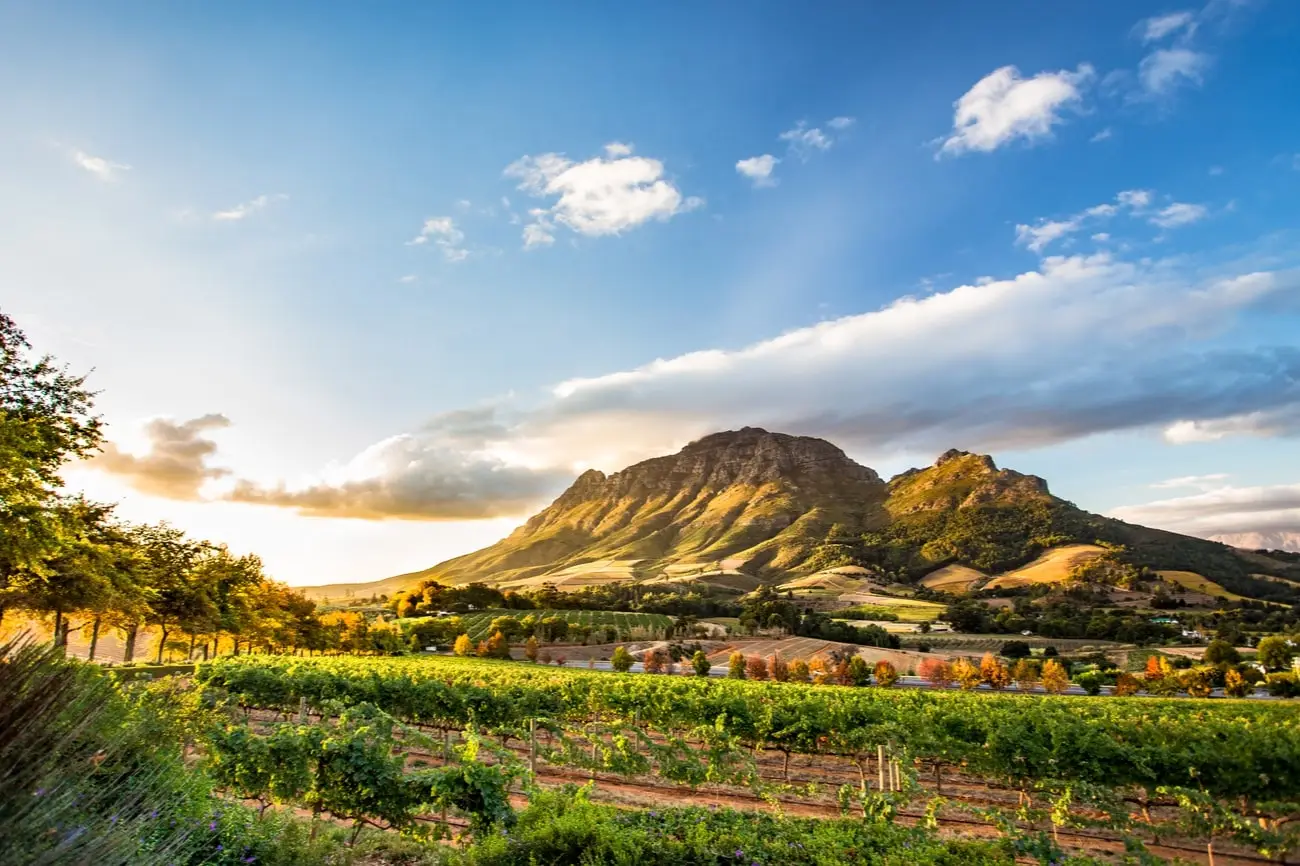 Zuid-Afrika-Shutterstock4