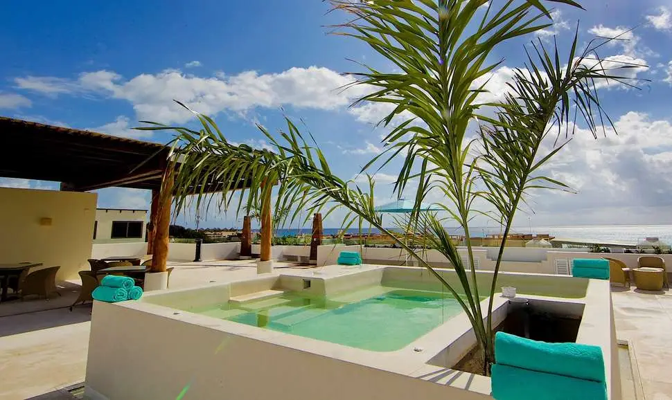 Scene-The-Palm-at-Playa3