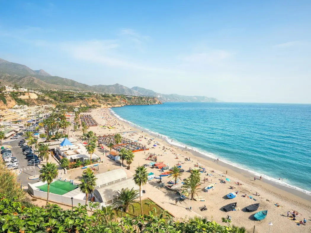Torrox-2