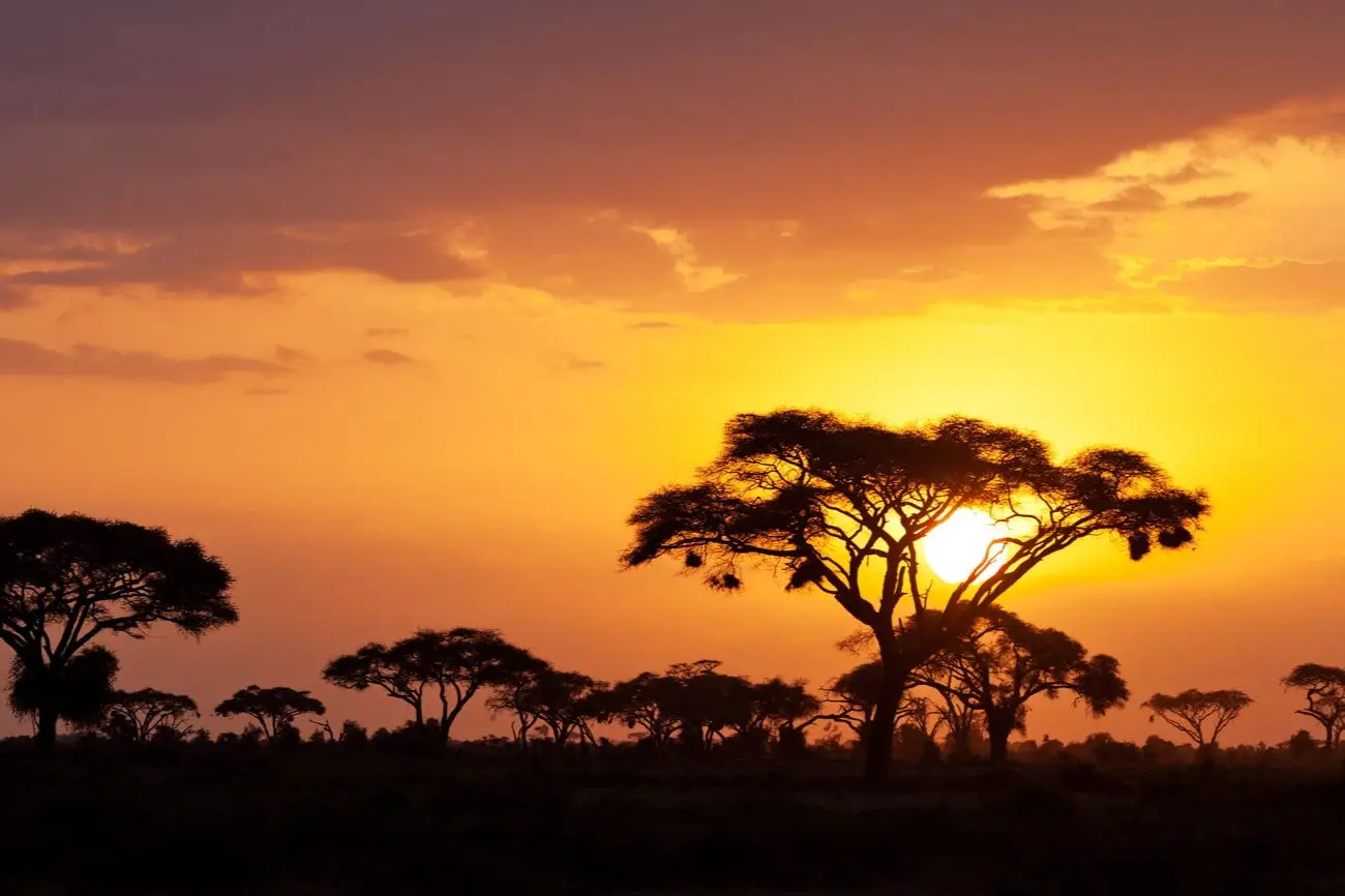 Kenia-natuur