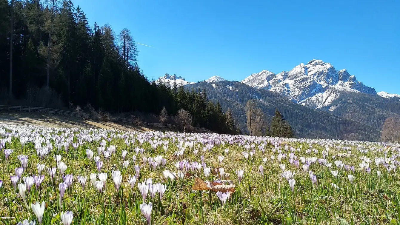 Tirol-Pixabay3