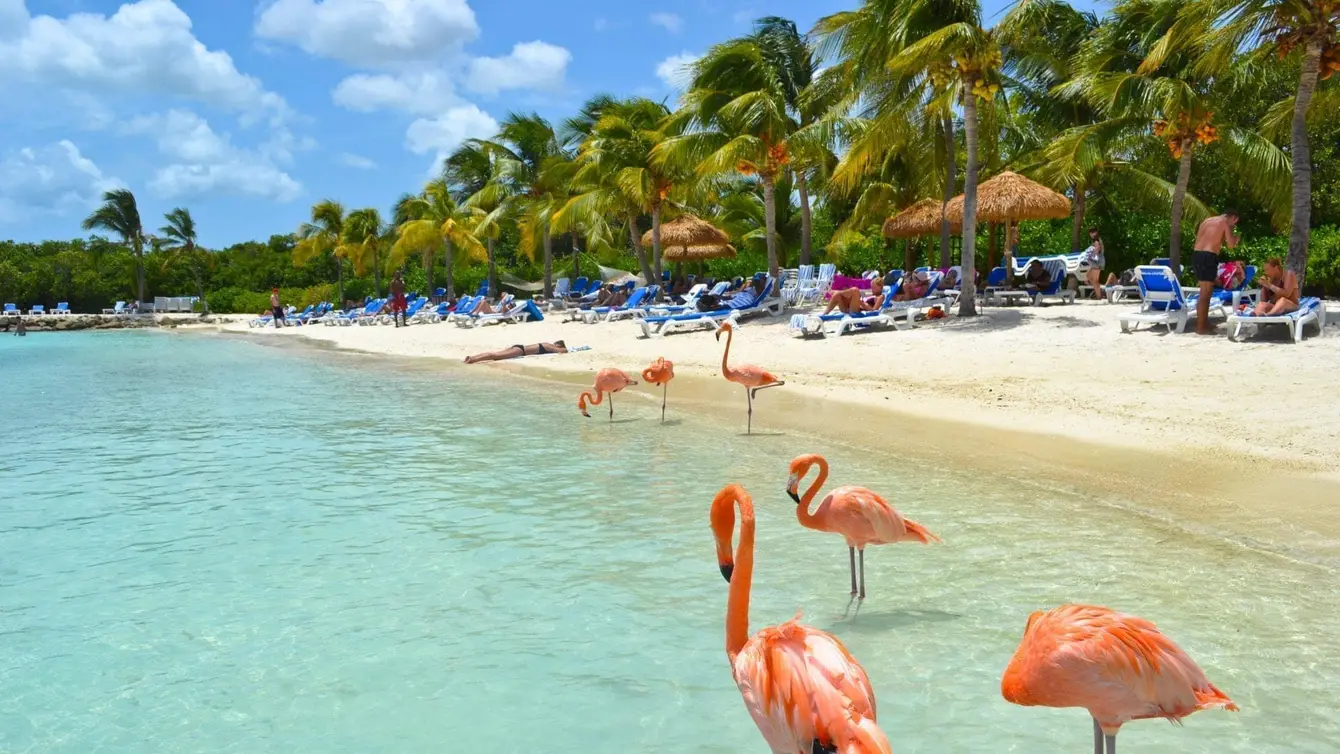 Aruba1