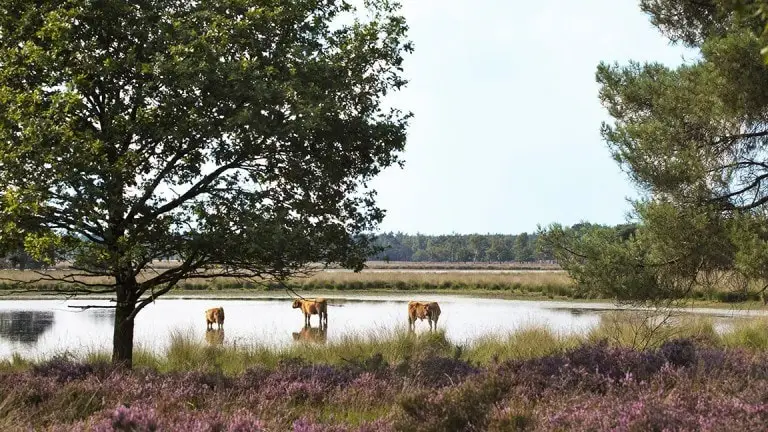 Voordeeluitjes.nl-Made-11