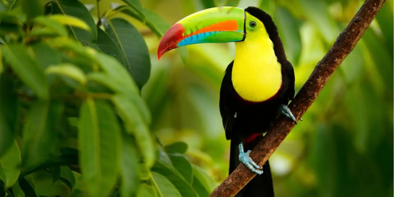 Costa Rica