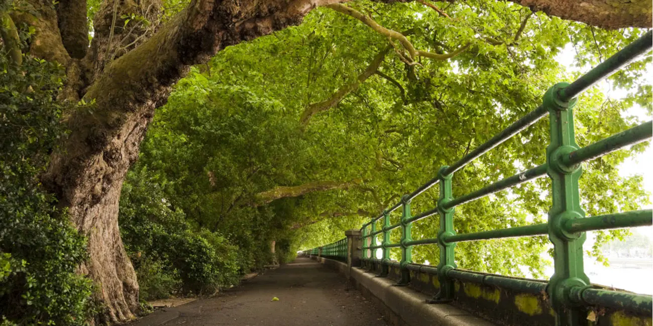 thames path