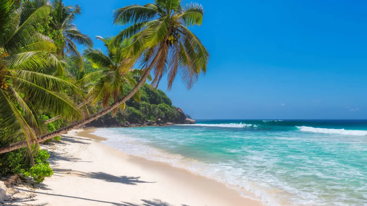 Jamaica-header-2