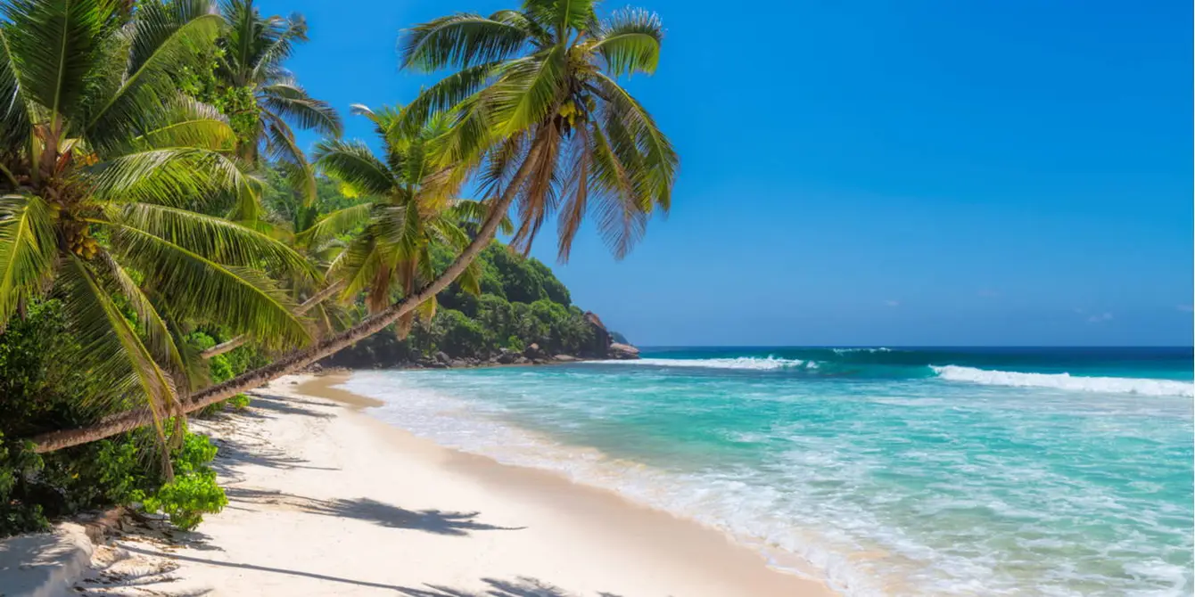 Jamaica-header