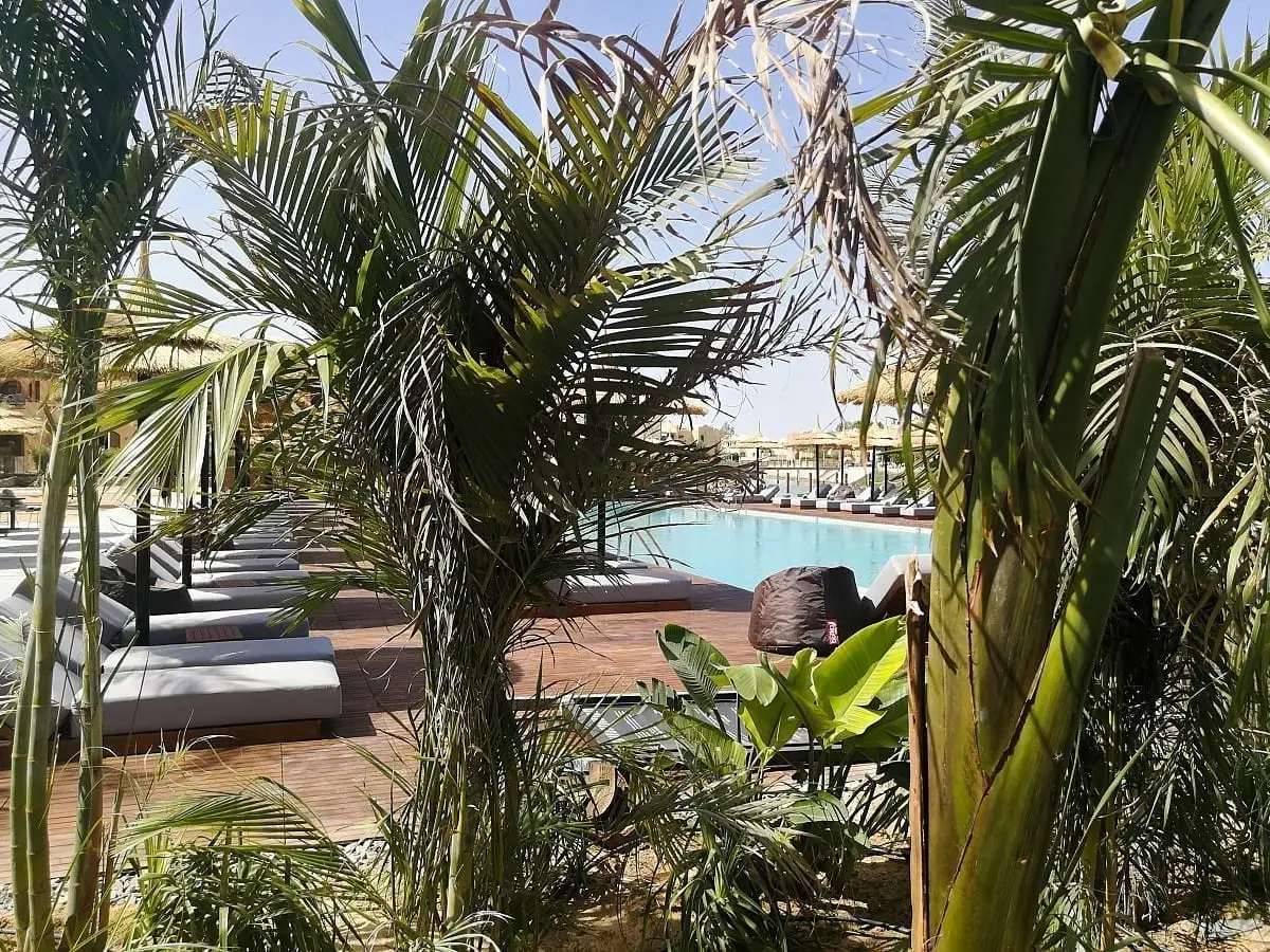 Cooks-Club-El-Gouna-Egypte4