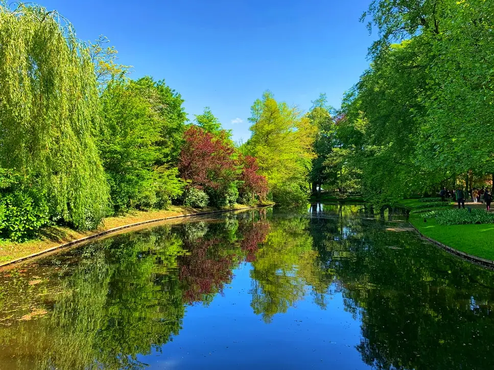 Leiden-