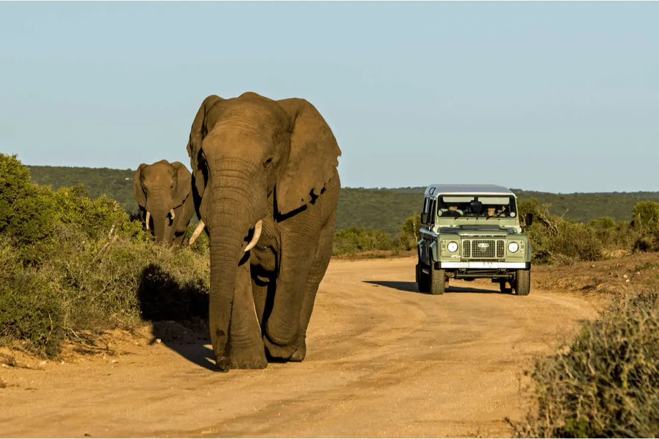 Zuid-Afrika-Shutterstock3