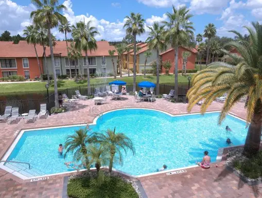Swimming-pool-florida