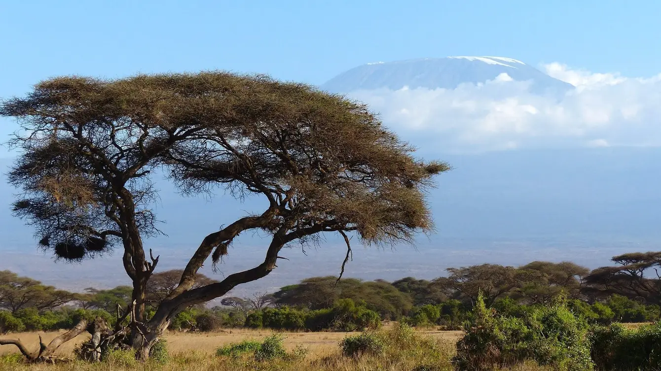 Kenia14