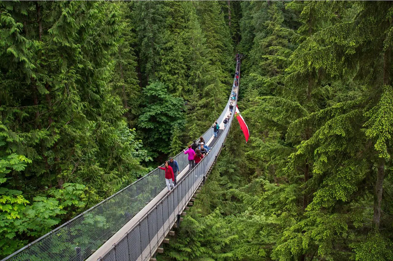 Capilano-hangbrug door het bos van Vancouver