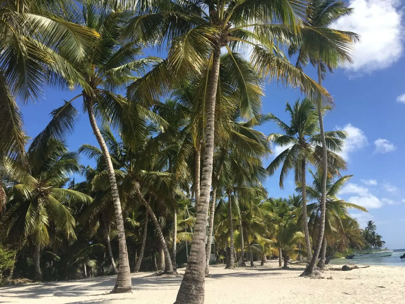 Whala-Boca-Chica-Dominicaanse3-scaled