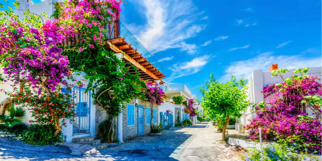 Header_bodrum