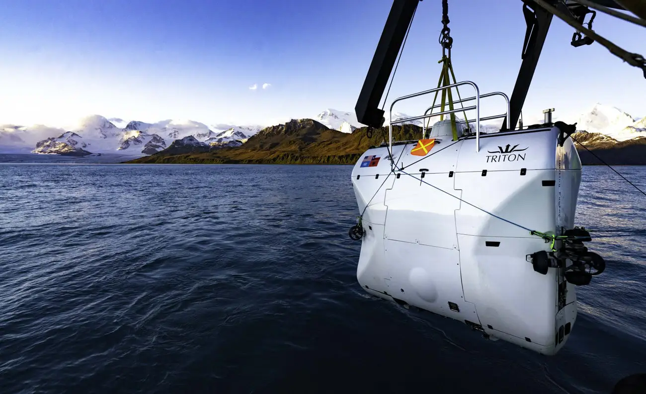 Limiting Factor at the Cumberland East Bay South Georgia Island