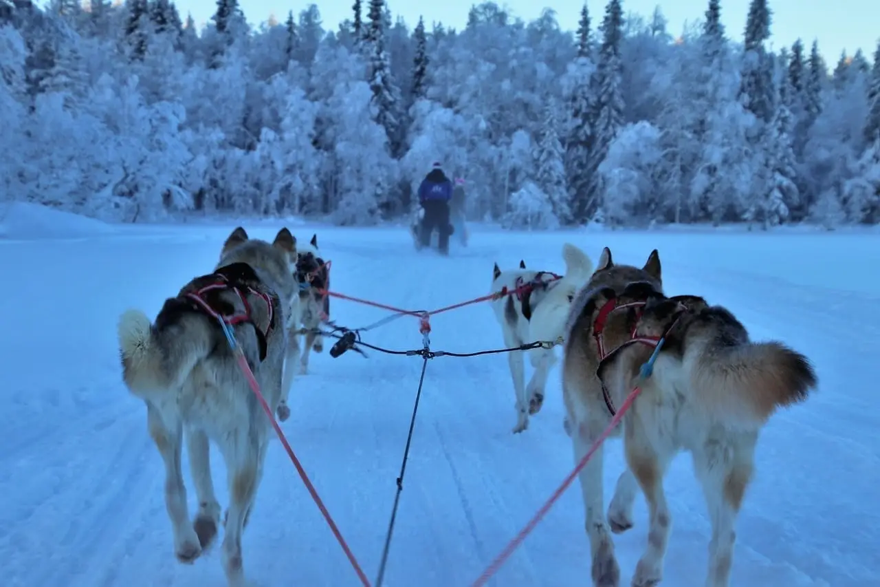 Sled-3953650_1280-1