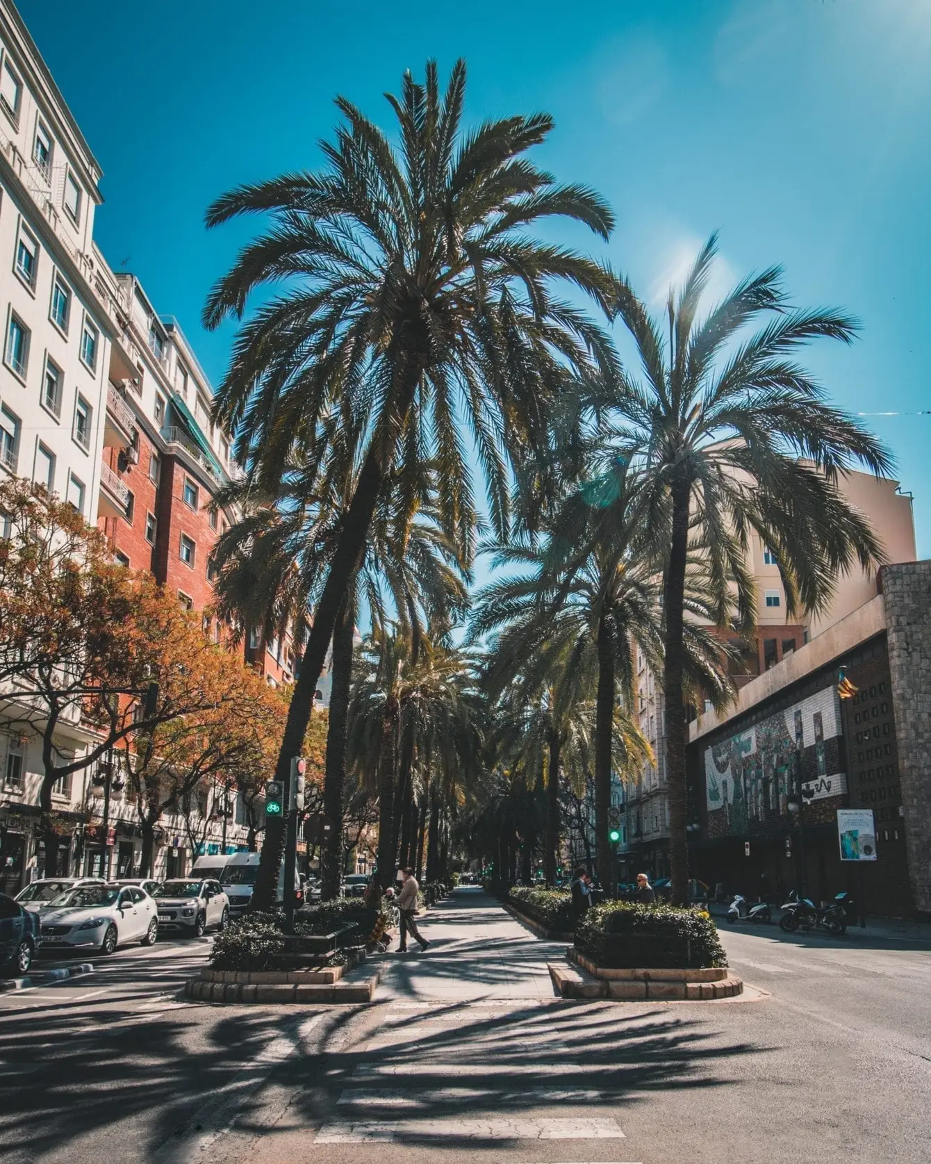 Franck-charles-GvFC6fibHsM-unsplash-1